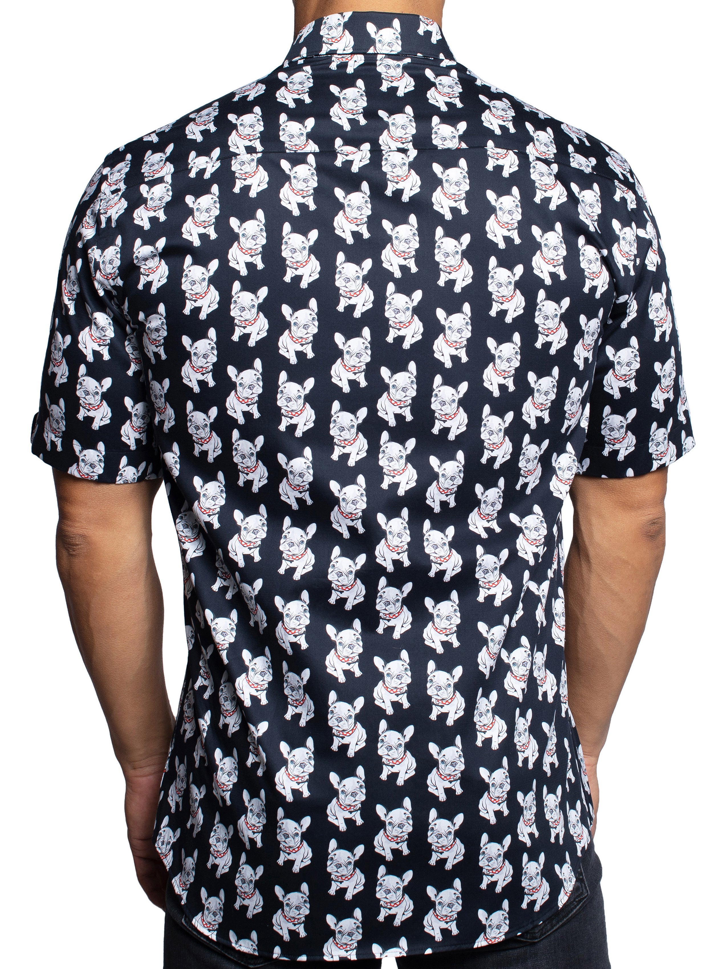 Galileo DogCute Black