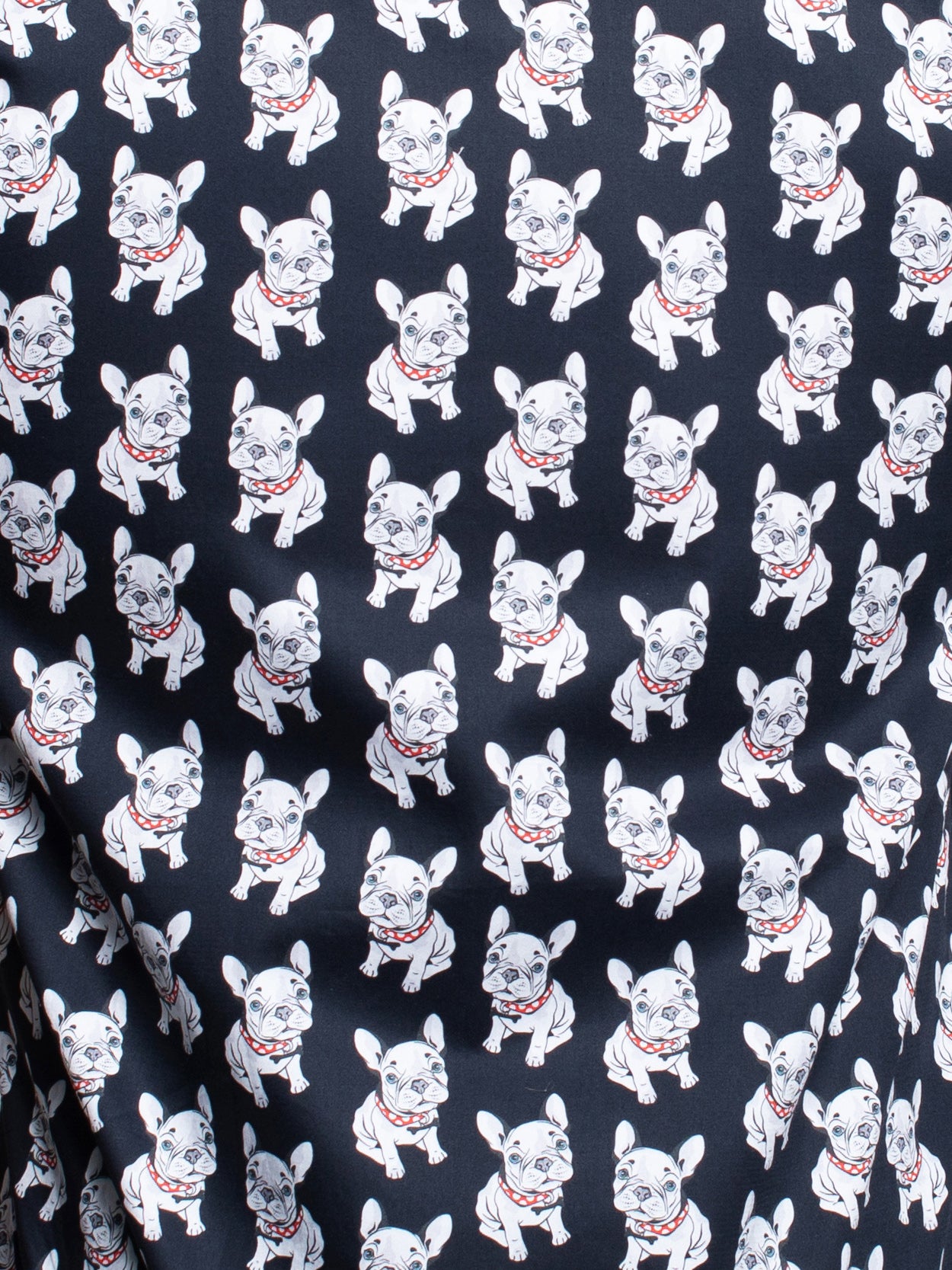 Galileo DogCute Black