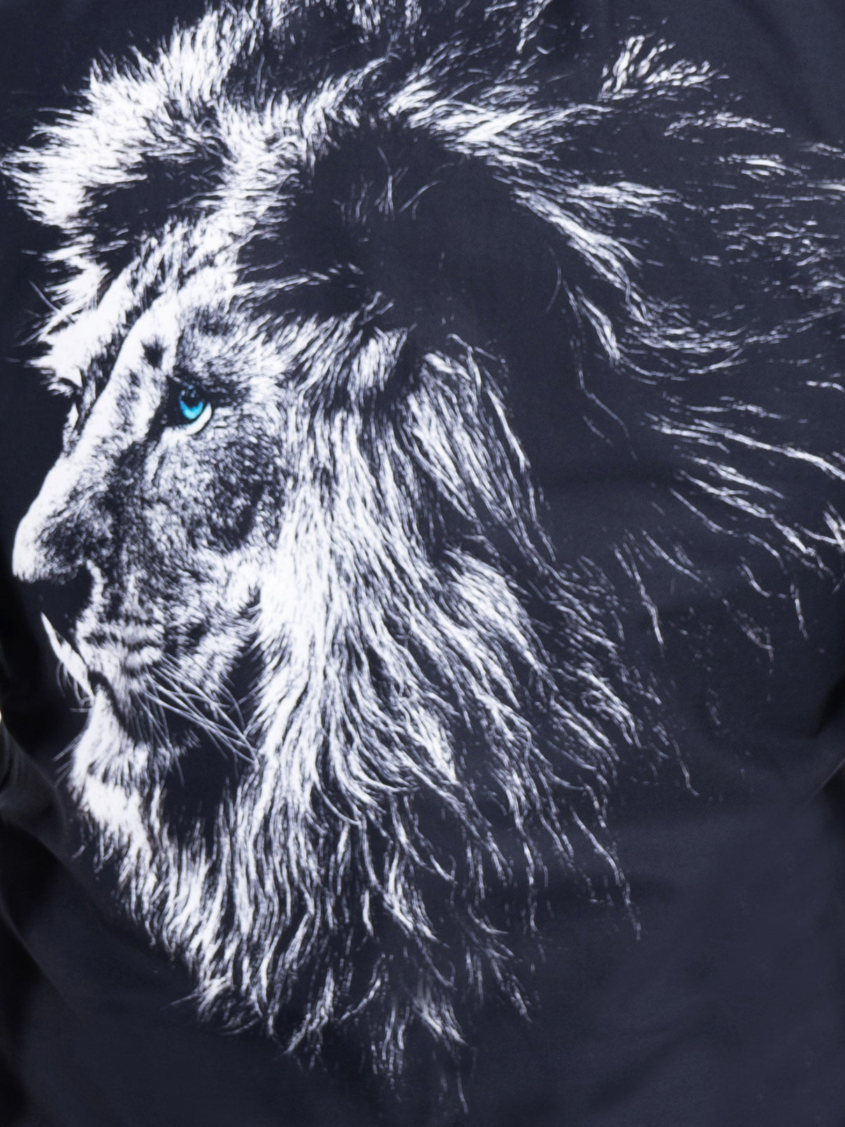 Galileo Lionface Black
