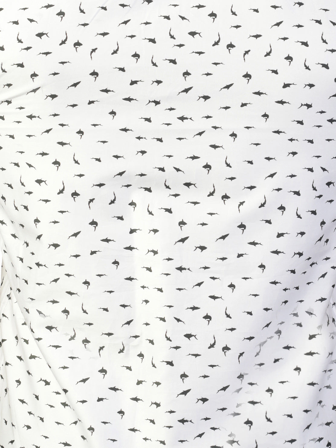 Galileo Shark White