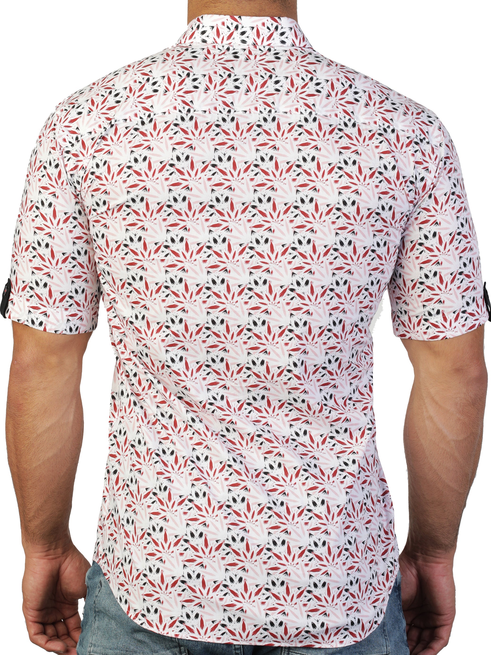 Galileo Weed Red