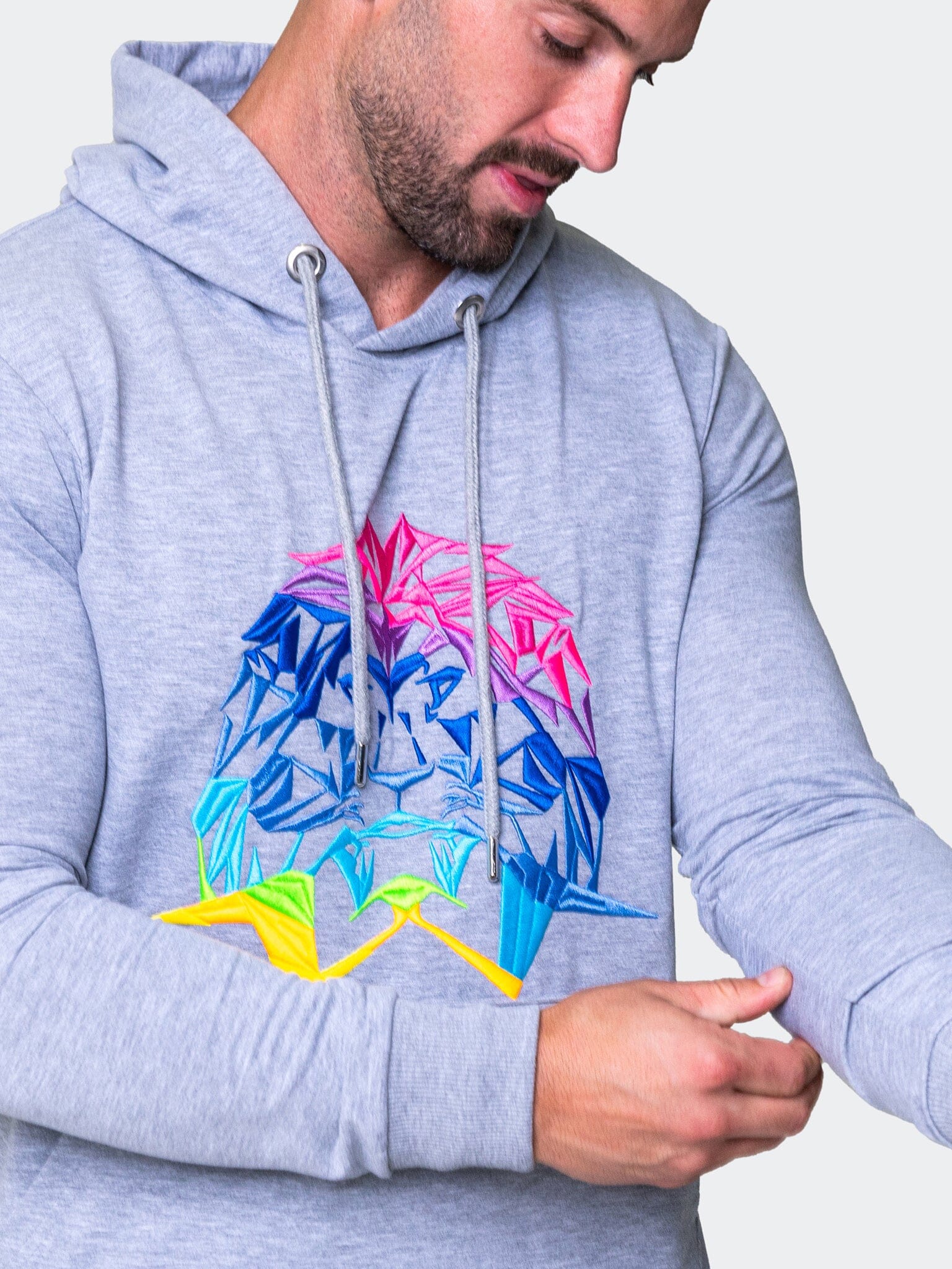 Neon Lion Grey Hoodie