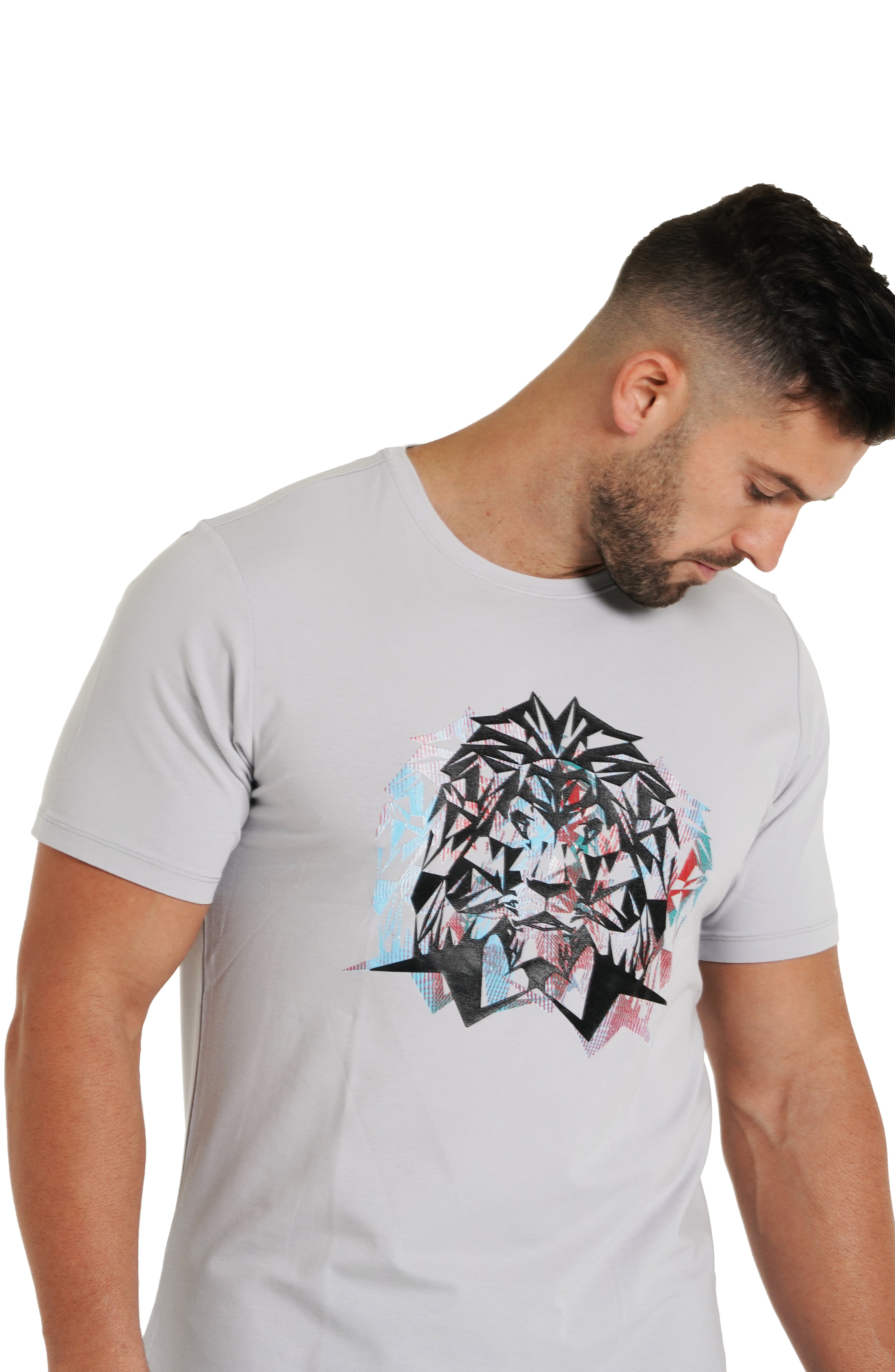 Tee LionShutterOff White